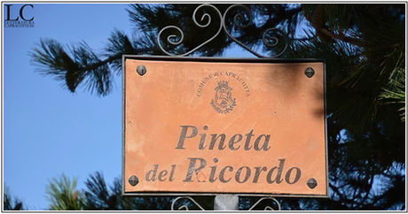 La Pineta del Ricordo