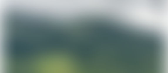 La foresta demaniale di Monte Capraro