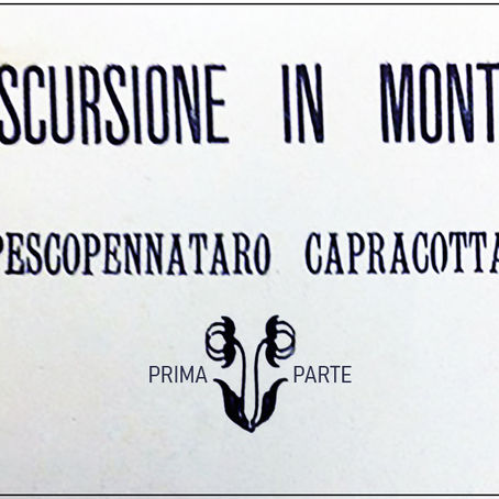Un'escursione in montagna (I)
