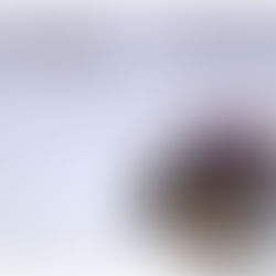 Amore e gelosia (XXVII)