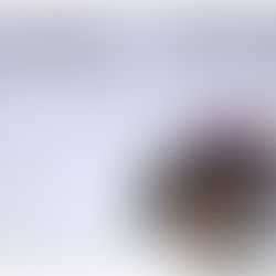 Amore e gelosia (VII)