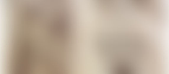 Dell'Ospizio di S. Maria delle Grazie di Capracotta