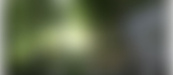 Capracotta, dove l'Appennino incanta