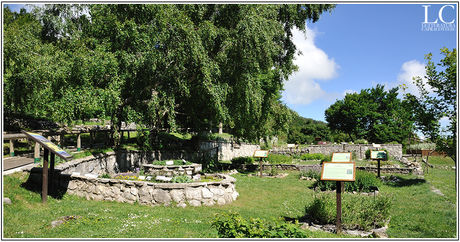 Cenni storici sul Giardino della Flora appenninica di Capracotta