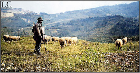 Ricordo della transumanza