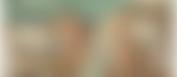 Castore e Polluce a Capracotta