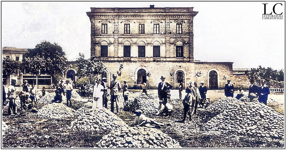Fiera Cipolle Isernia