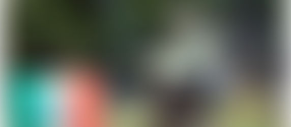 Le vere sagre sono longeve