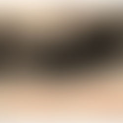 L'avvocato Ninetta (XXV)