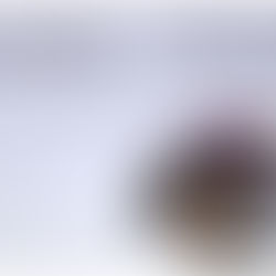 Amore e gelosia (XLV)