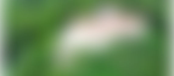 Il convitto di San Bernardino in Agnone