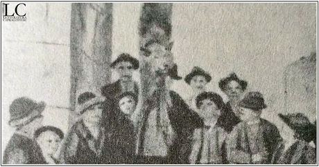 Molise venatorio