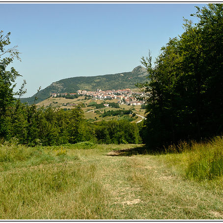 Estate in Molise