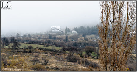 Suggestioni del bosco: autunno