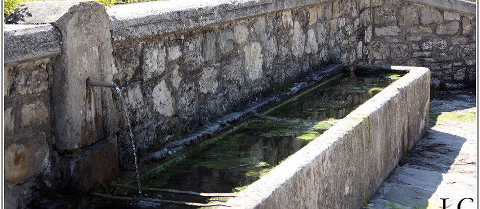 La Fonte del Comunice e la corsa degli asini