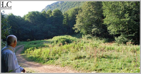 Incontri con il bosco (I)