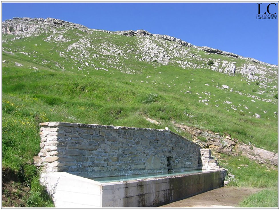 Fonte del Forno
