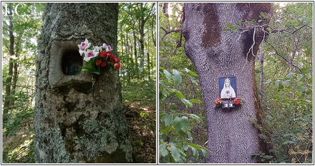 Gli alberi votivi di Capracotta