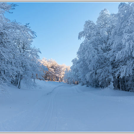 Capracotta, "regina della neve" e qualità della vita