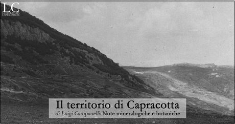 Il territorio di Capracotta: note mineralogiche e botaniche