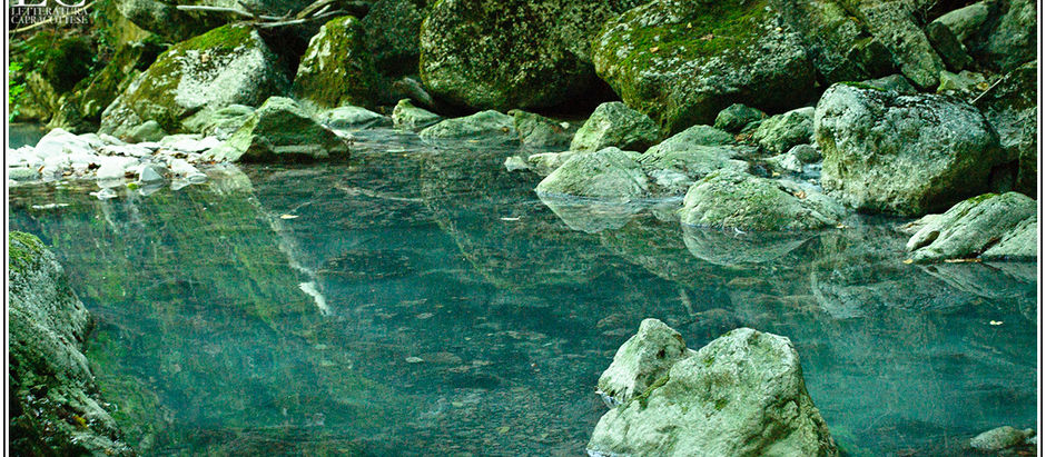 Fonti e sorgenti tra i sassi di Capracotta