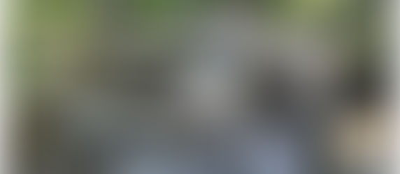 Fonte Agro-silvo-pastorale