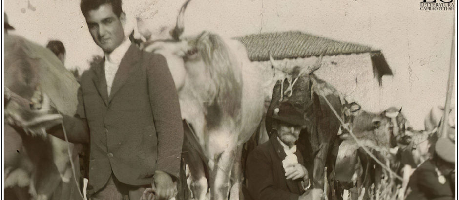 I sintomi della febbre americana