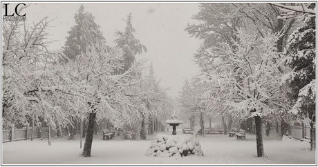 Neve
