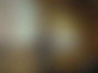 Palestra no Congresso TH Brasil 2012 – Uberlândia/MG