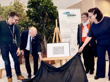 Toit de Paris au cœur d’un projet d’architecture durable à Colombes