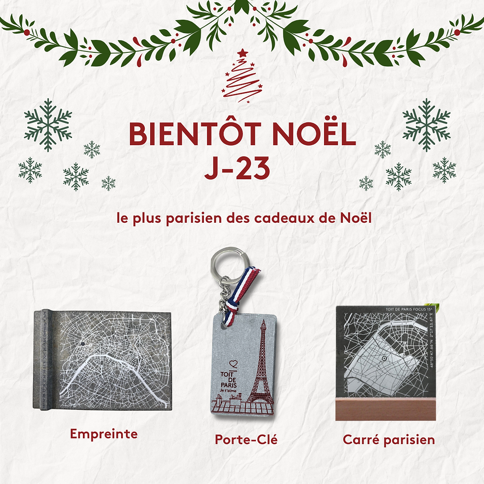 Noël Toit de Paris 