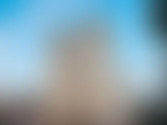 What is the history of the framework of Notre-Dame?