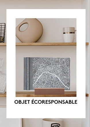 site Toit de Paris (5).jpg