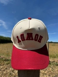 Thumbnail: 'HOWDY' Baseball Hat