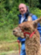 Alpaca