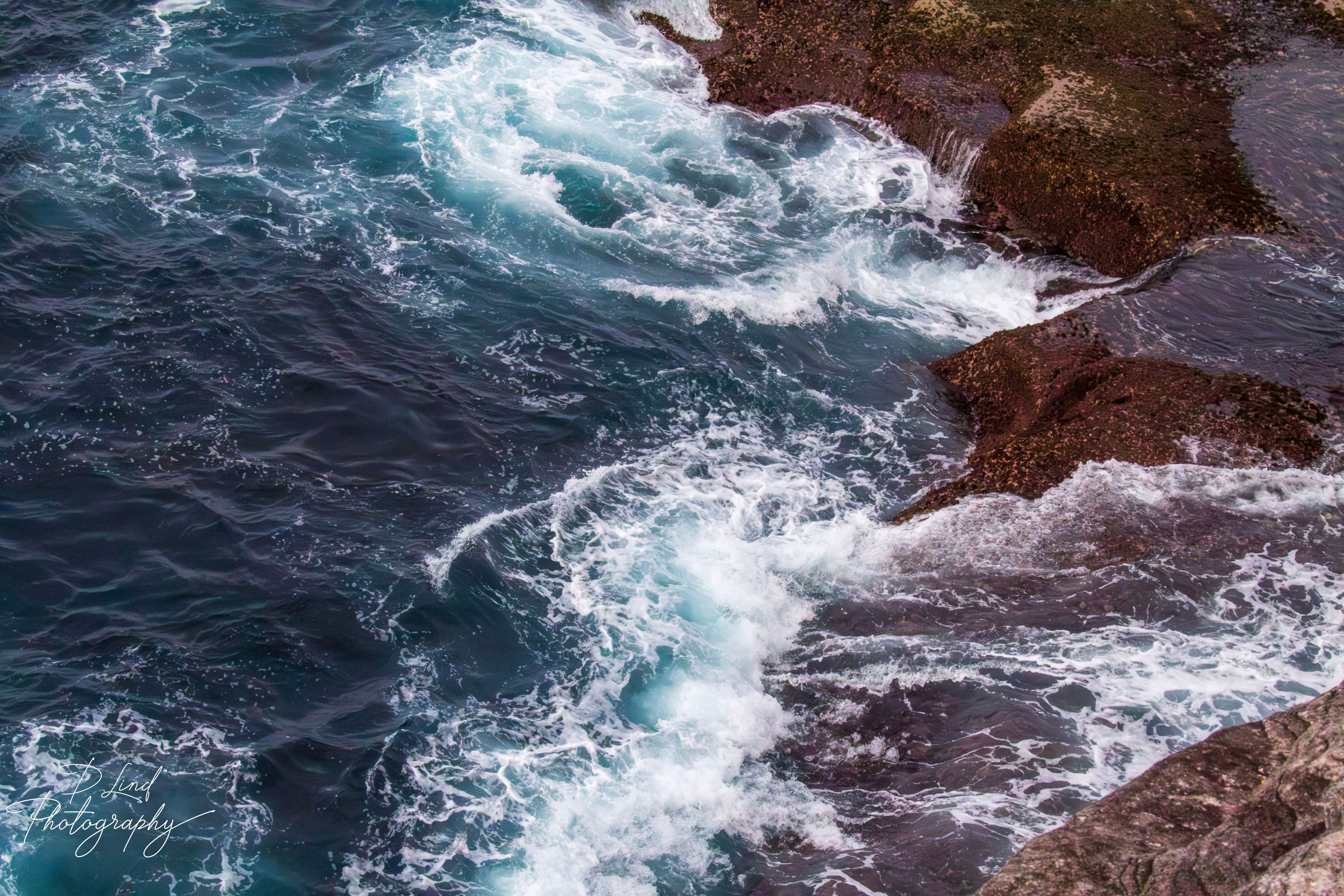 Cape Solander Coastline (Fine Print - Unframed)