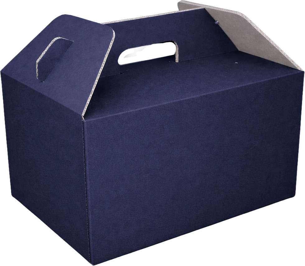 turkeybox.png
