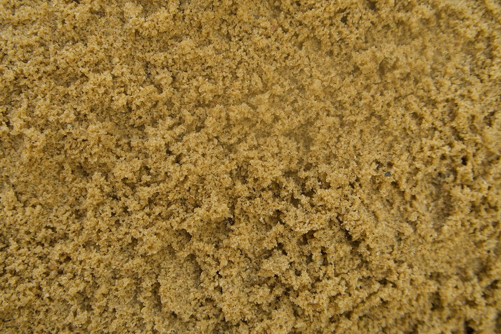 Plasterning Sand2 Large.jpeg