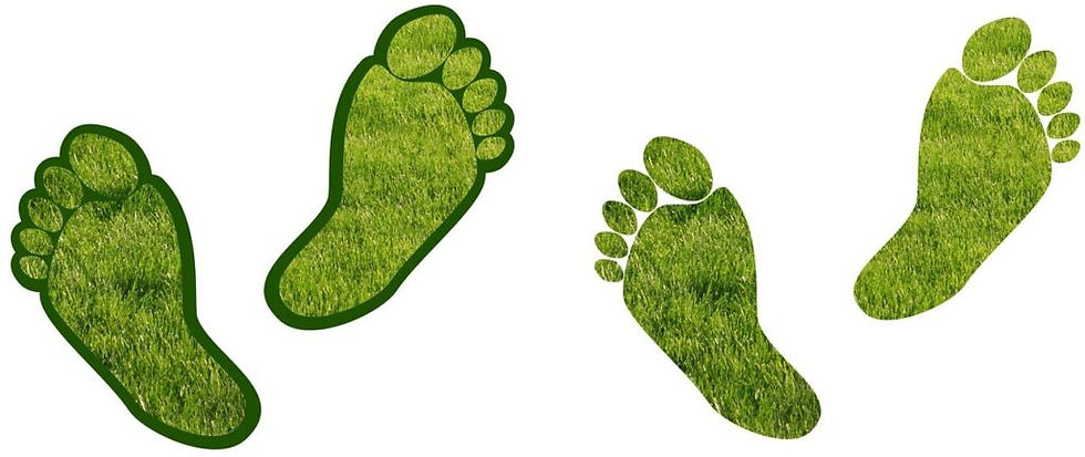 Carbon Neutral Approved