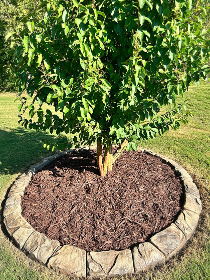Decorative concrete landscape curbing creates a defined circular border around a tree, keeping mulch contained.