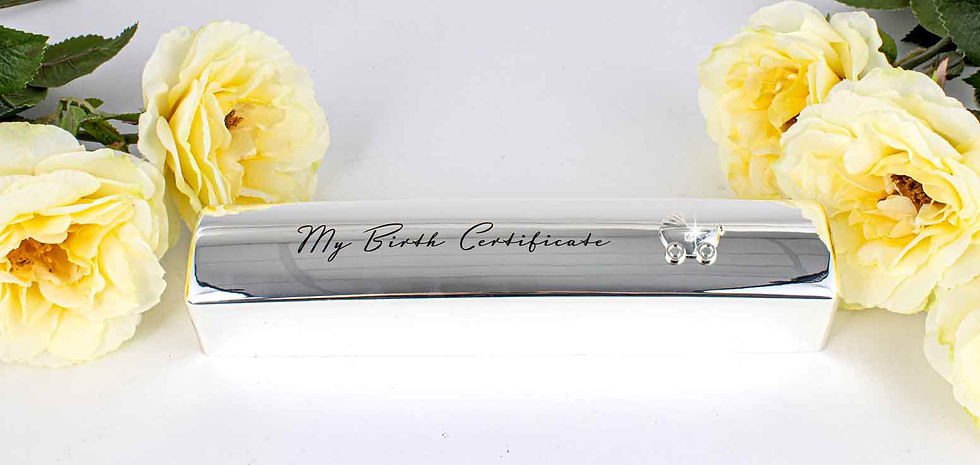 Thumbnail: Birth Certificate Holder Silver