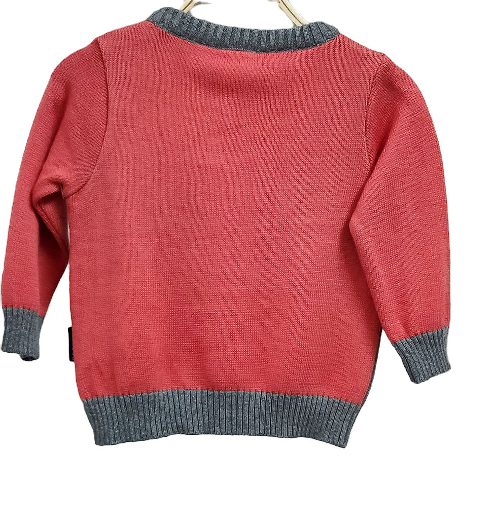 Knit Sweater With Dinosaur