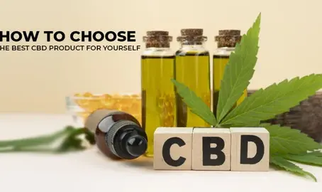                 How to Choose the Best CBD Product for Yourself