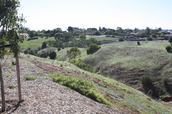 HILLBANK_ASSURED_PROPERTY_GROUP