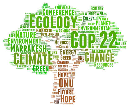 COP 22 a Marrakech