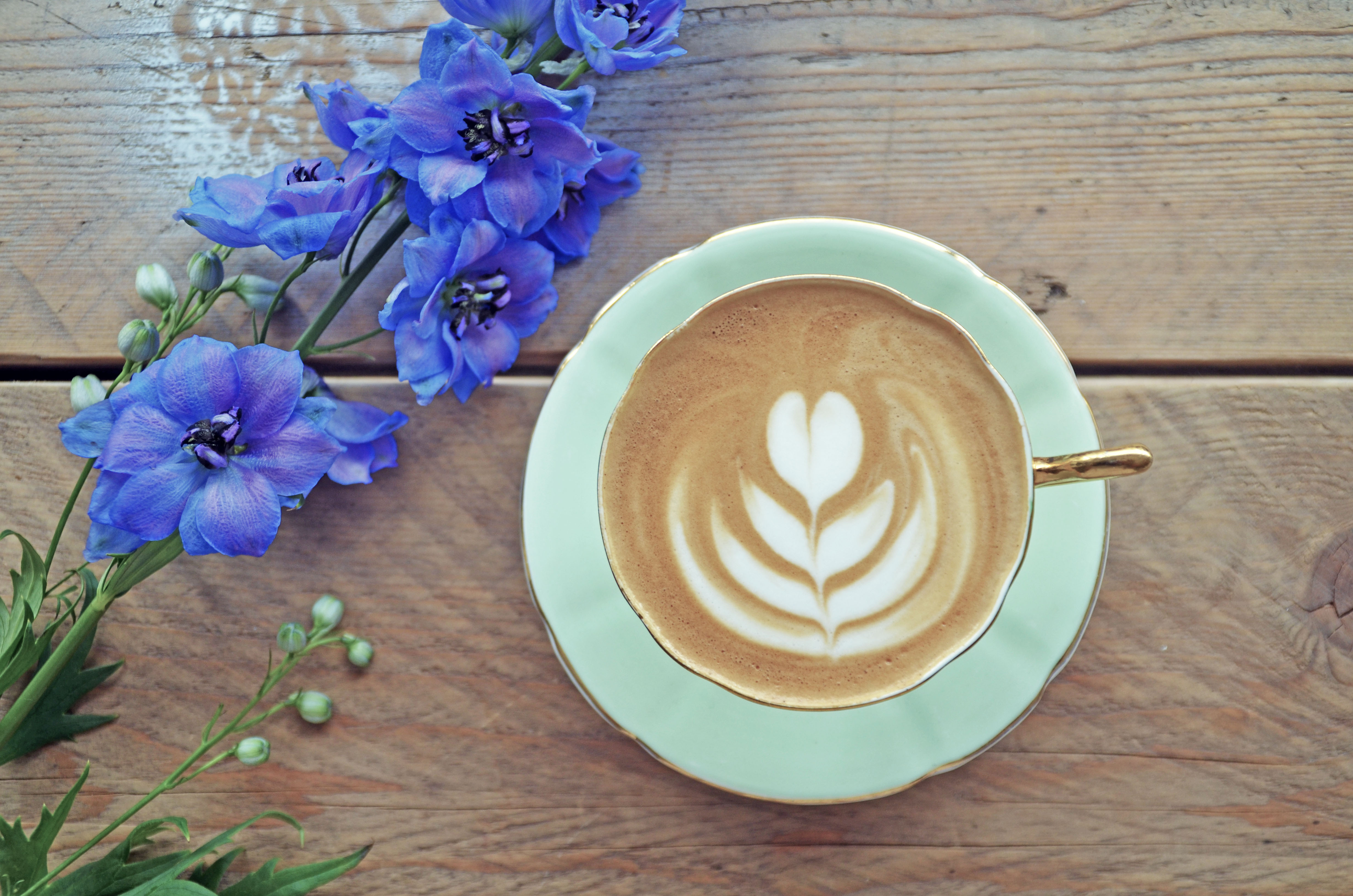 A Flat White and a Delphinium