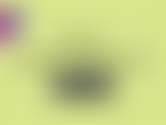 DO UNTO OTHERS: HUMILITY, IMMIGRATION AND BORDER CONTROL