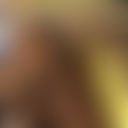 Rotina de remoção do lodo de ETE tratado em sistema wetlands.