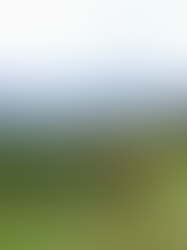 ETE Wetlands com 3 anos de operação: rotinas de manutenção!