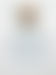 Professor Marcos von Sperling e os avanços da tecnologia wetlands no Brasil